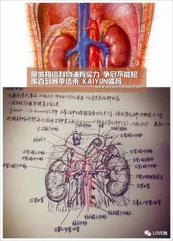 开云官方网站