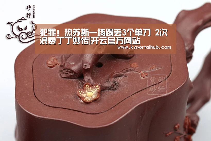 开云官方网站