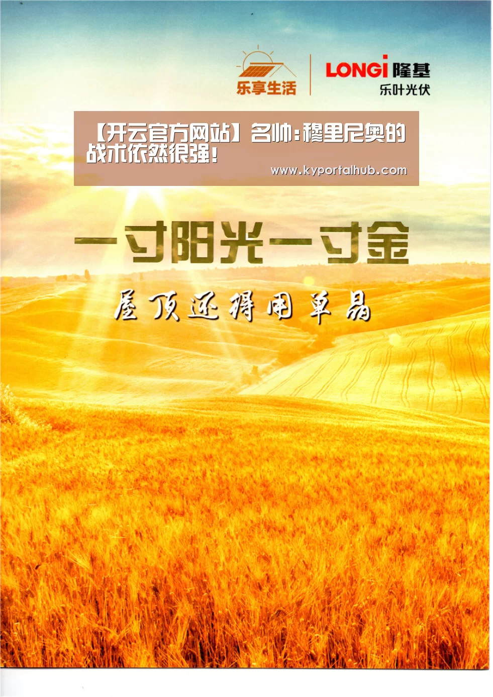 开云官方网站